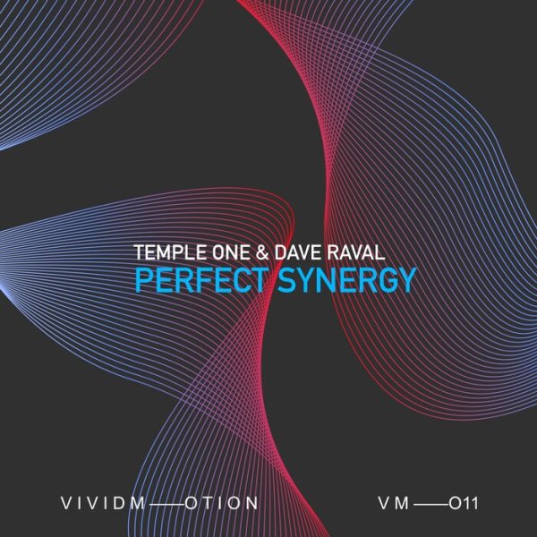 Temple One &amp; Dave Raval - Perfect Synergy