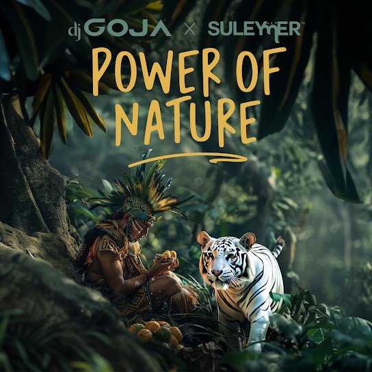Dj Goja x Suleymer. - Power Of Nature.