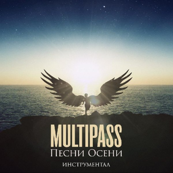 MULTIPASS - Я наблюдал как корабли инструментал
