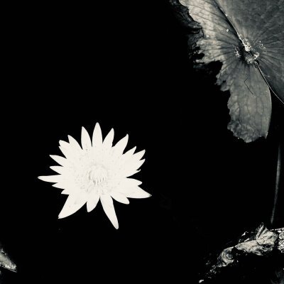 Miyagi &amp; Эндшпиль - Наоборот