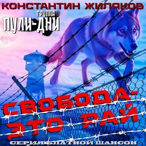 Константин Жиляков, Группа Пули-Дни - Талицы