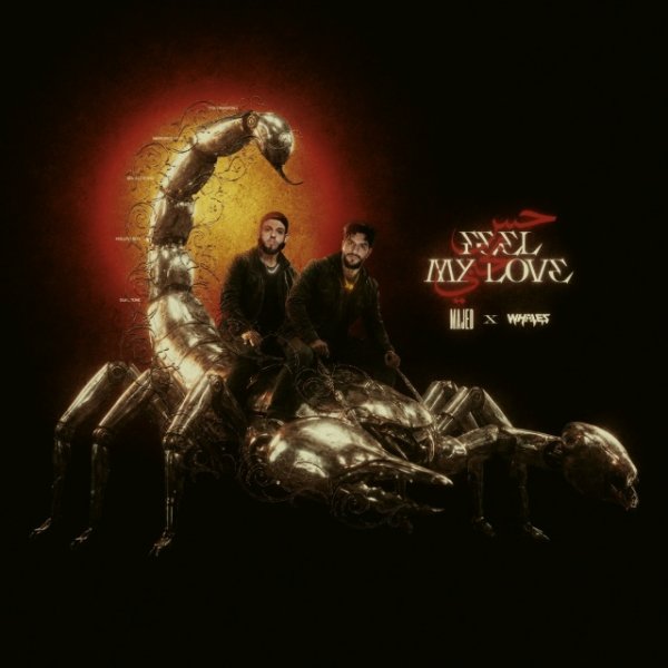 MAJED &amp; Whales - Feel My Love