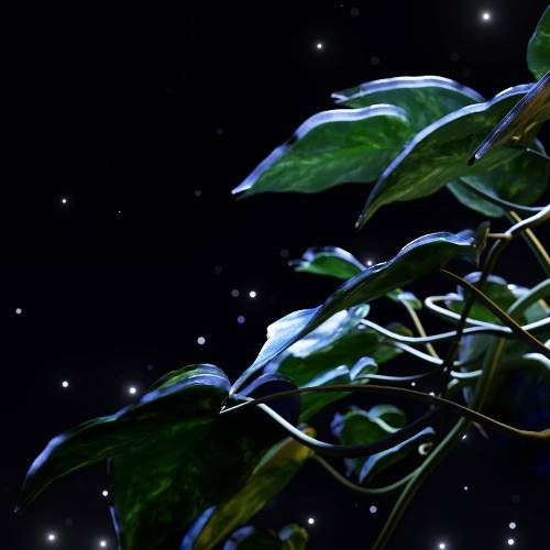 The Temper Trap - Sweet Disposition (STAR SEED Remix)