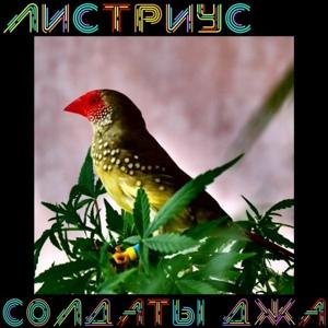 ЛисТриус &amp; Терехов Василий - Солдаты Джа