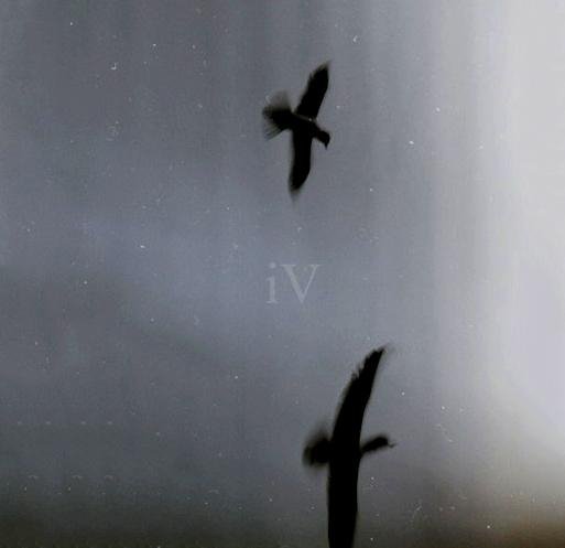 iV - The Look of Silence I