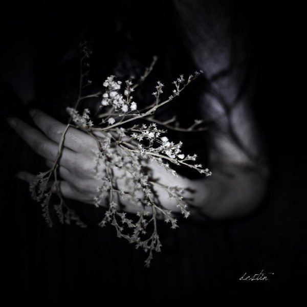 Clouds - Nothing But A Name