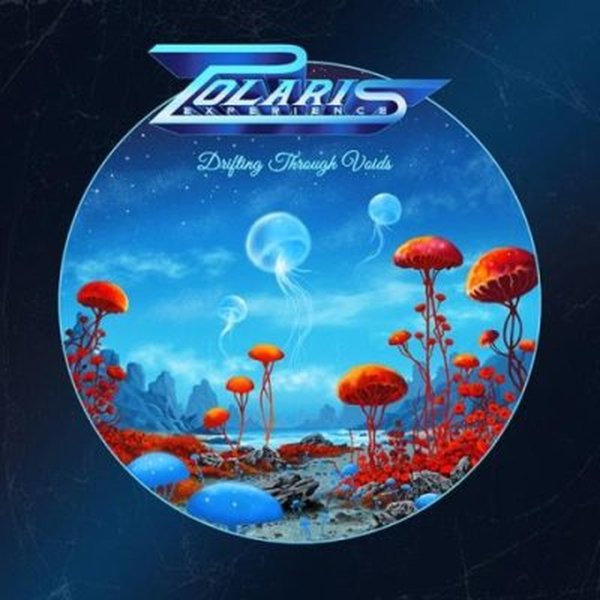 Polaris Experience - External Call