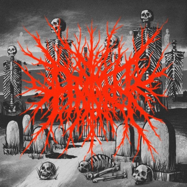 The Primer - Rebirth