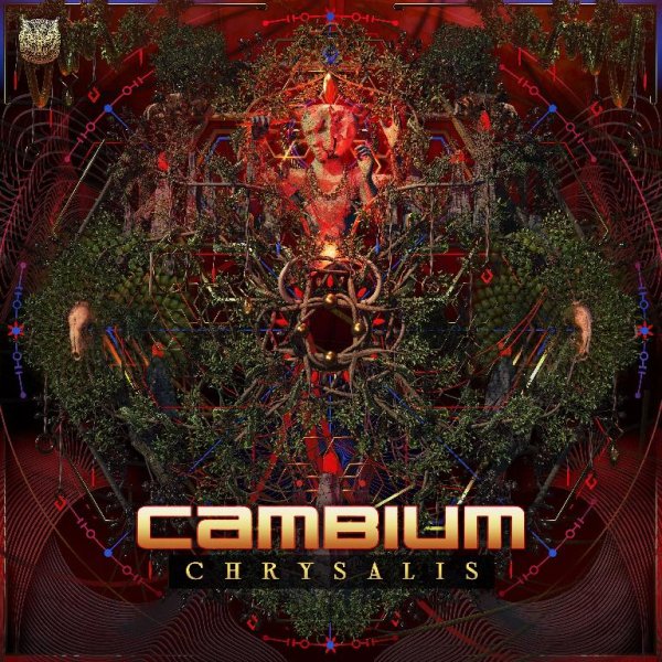 Cambium - Chrysalis