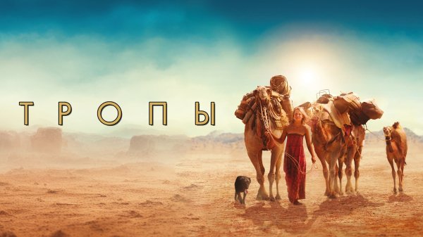 Garth Stevenson - Flying