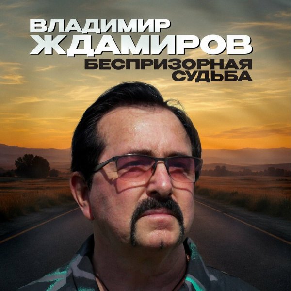 Владимир Ждамиров - Беспризорная судьба