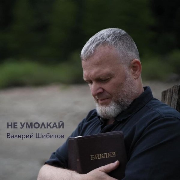 4. Валерий Шибитов - Не умолкай