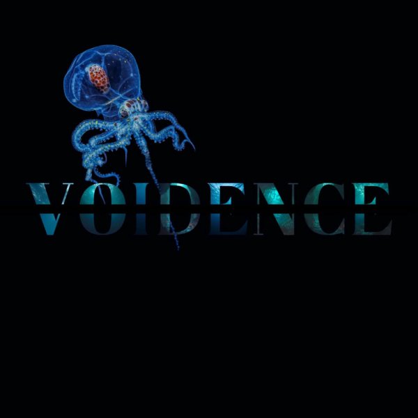 Ravevik - Voidence
