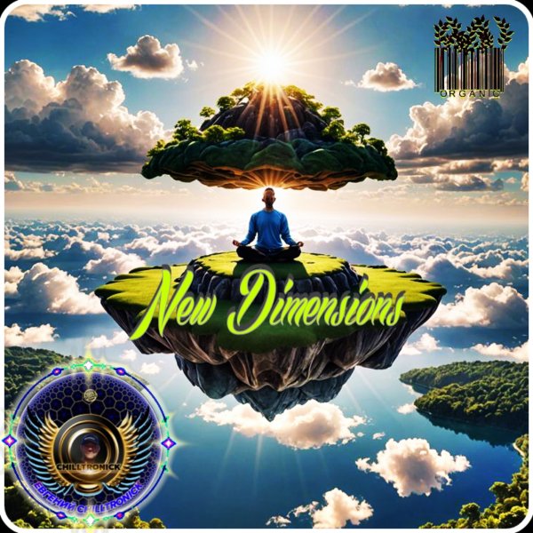 Chilltronick - Chilltronick - New Dimensions