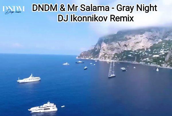 DNDM &amp; Mr Salama - Gray Night (DJ Ikonnikov Remix)