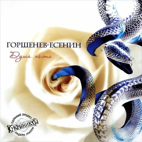 Алексей Горшенёв - Душа Поэта