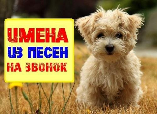 Оксана - Именной звонок