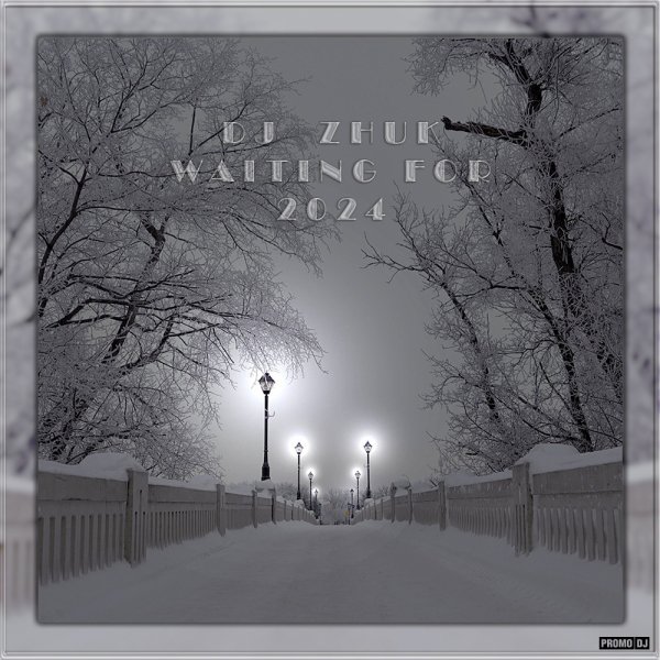 DJ Zhuk - Waiting for #2024
