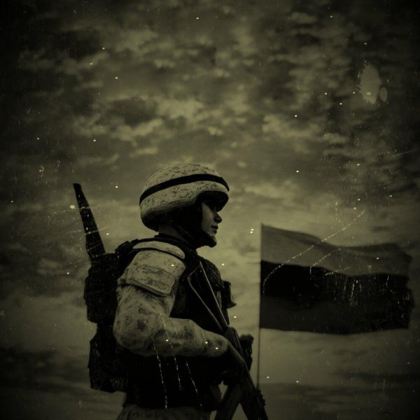 Алексей Шестаев - Защитники Отечества