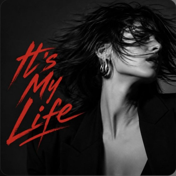Dj Monster - It's My Life