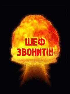  - Начальник, милый наш начальник