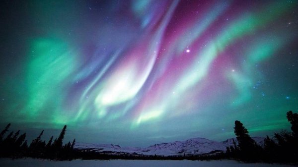 ОШО - Сердце это Райский Сад