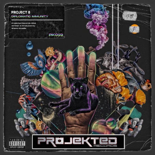 Project 8 - Diplomatic Immunity