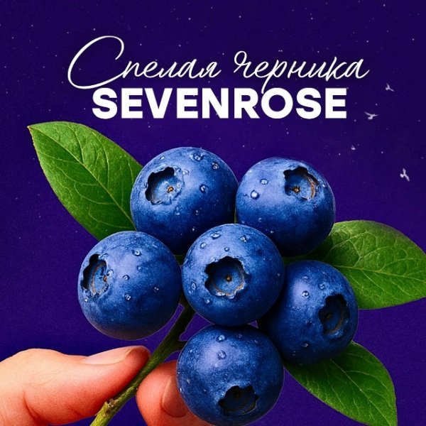 Sevenrose - Спелая черника