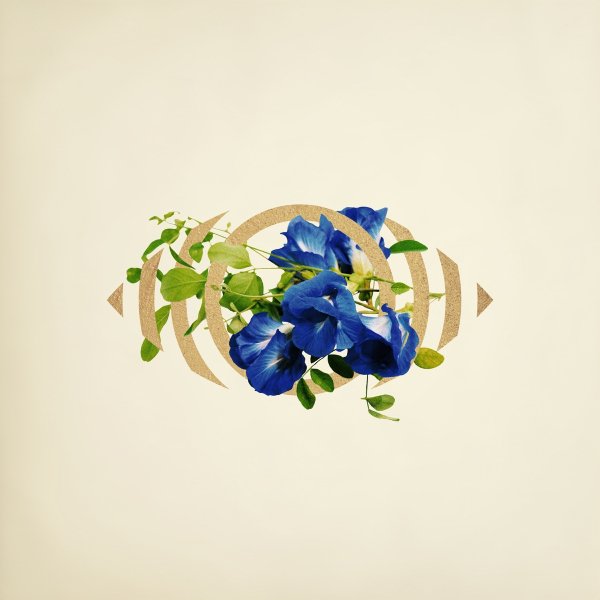 ((( O ))) - SANCTUARY