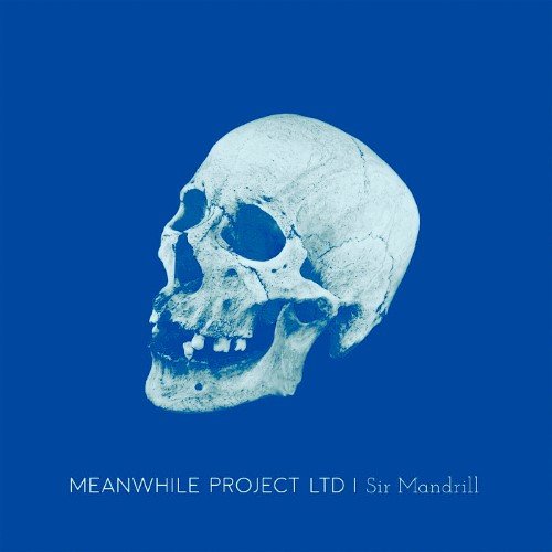 Meanwhile Project Ltd - Substitute