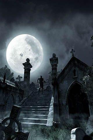 Кладбище Сердец - Кладбище Сердец