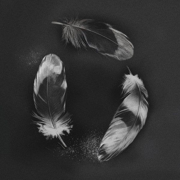 SLANDER, NGHTMRE &amp; ZOHARA - Free