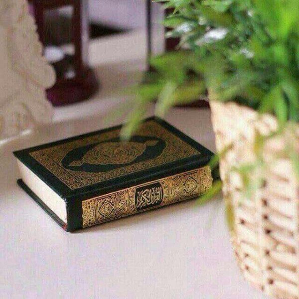 Abdulloh Buhoriy - Sunnatga amal qilinsa ishlar manashunday oson buladi (Sunnatga muvofiq nigoh)