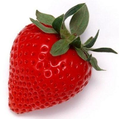 Живая кухня [EQ] - ~Живая кухня [EQ]