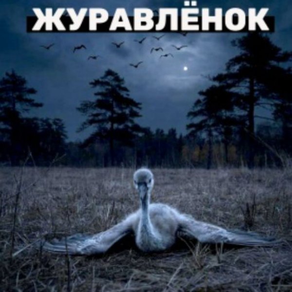 Вячеслав Сидоренко - ЖУРАВЛЁНОК/2026