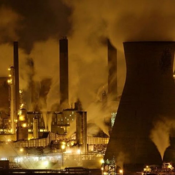 prescriptionsosa - oil.