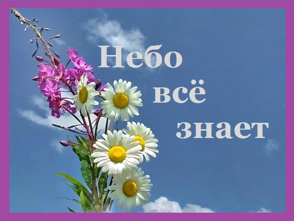 Небо всё знает - Белый снег, ты усыпал всю землю кругом