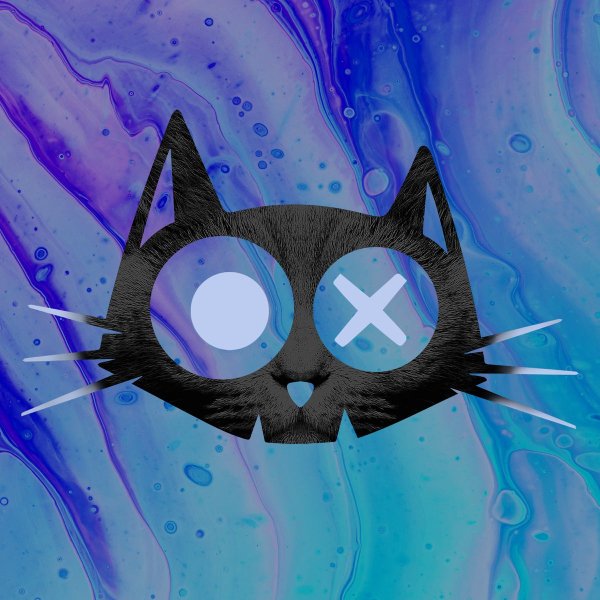 Marcus Meinhardt - Bamboo