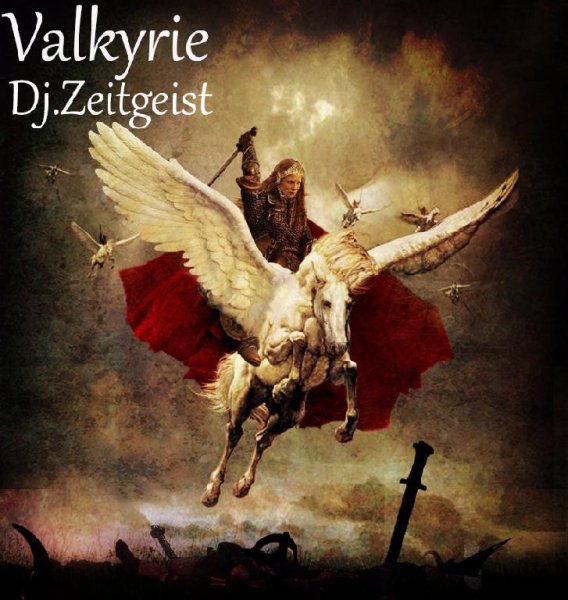 Dj.Zeitgeist - Valkirie