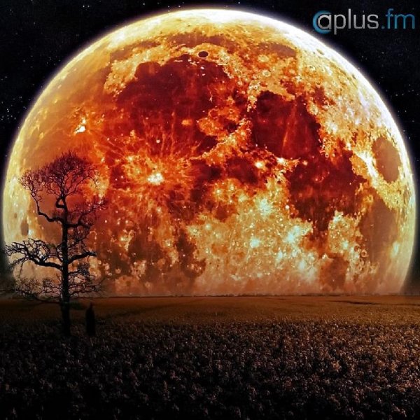 Andrea Montorsi - Sunshine (Original Mix)