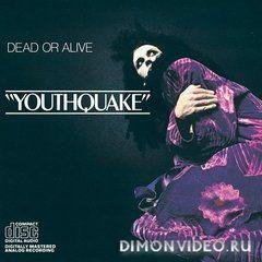 Dead Or Alive - You Spin Me Round