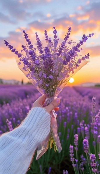 DJ KAIFAR - Лаванда