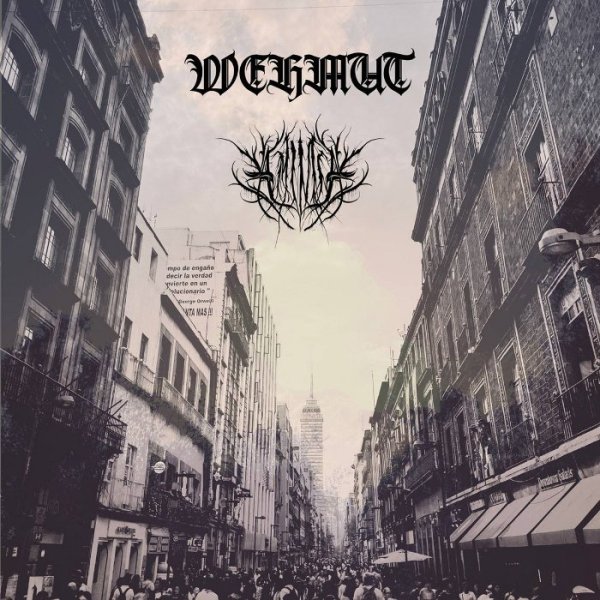 Wehmut &amp; Amimia - Excerpts From Broken Minds