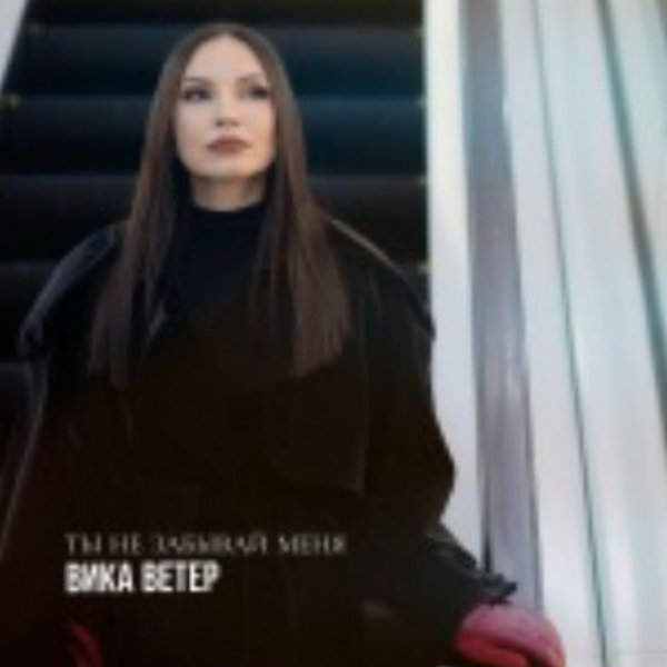 Вика Ветер - Ты не забывай меня(2026)