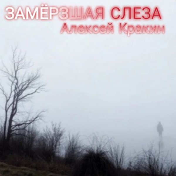 Алексей Кракин - Замёрзшая слеза