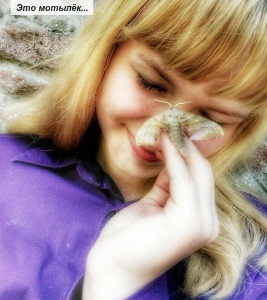 @Strelka700 - Это мотылёк...