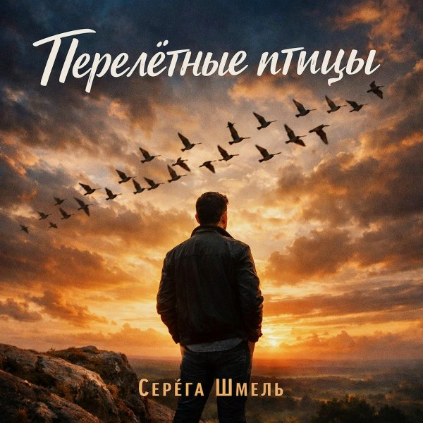 Серёга Шмель - Перелётные птицы