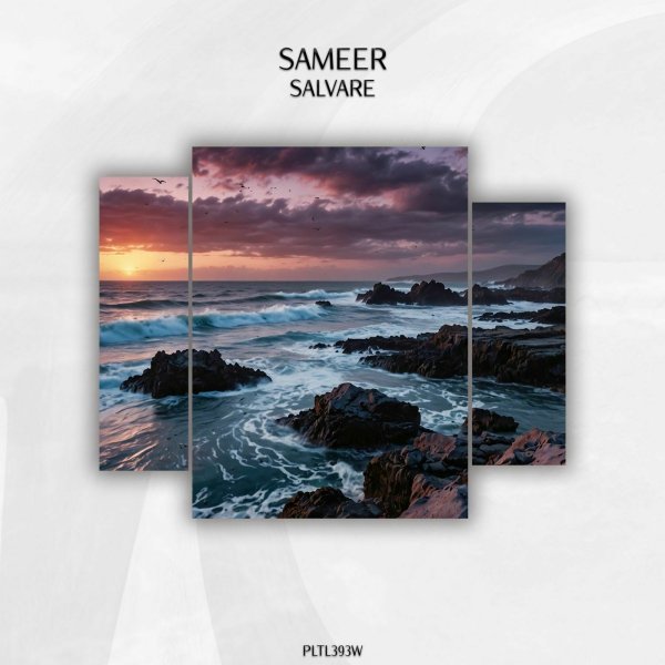 Sameer - Salvare