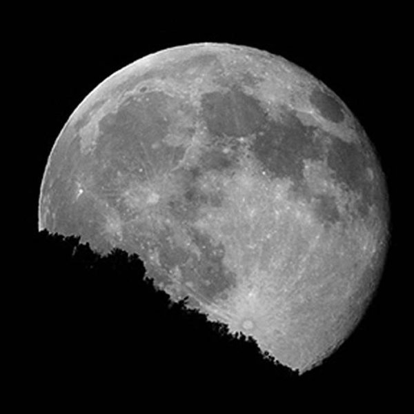 SynthOne - Rising Moon