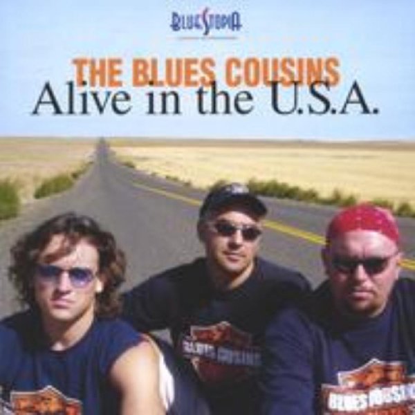 Blues Cousins - Help Me